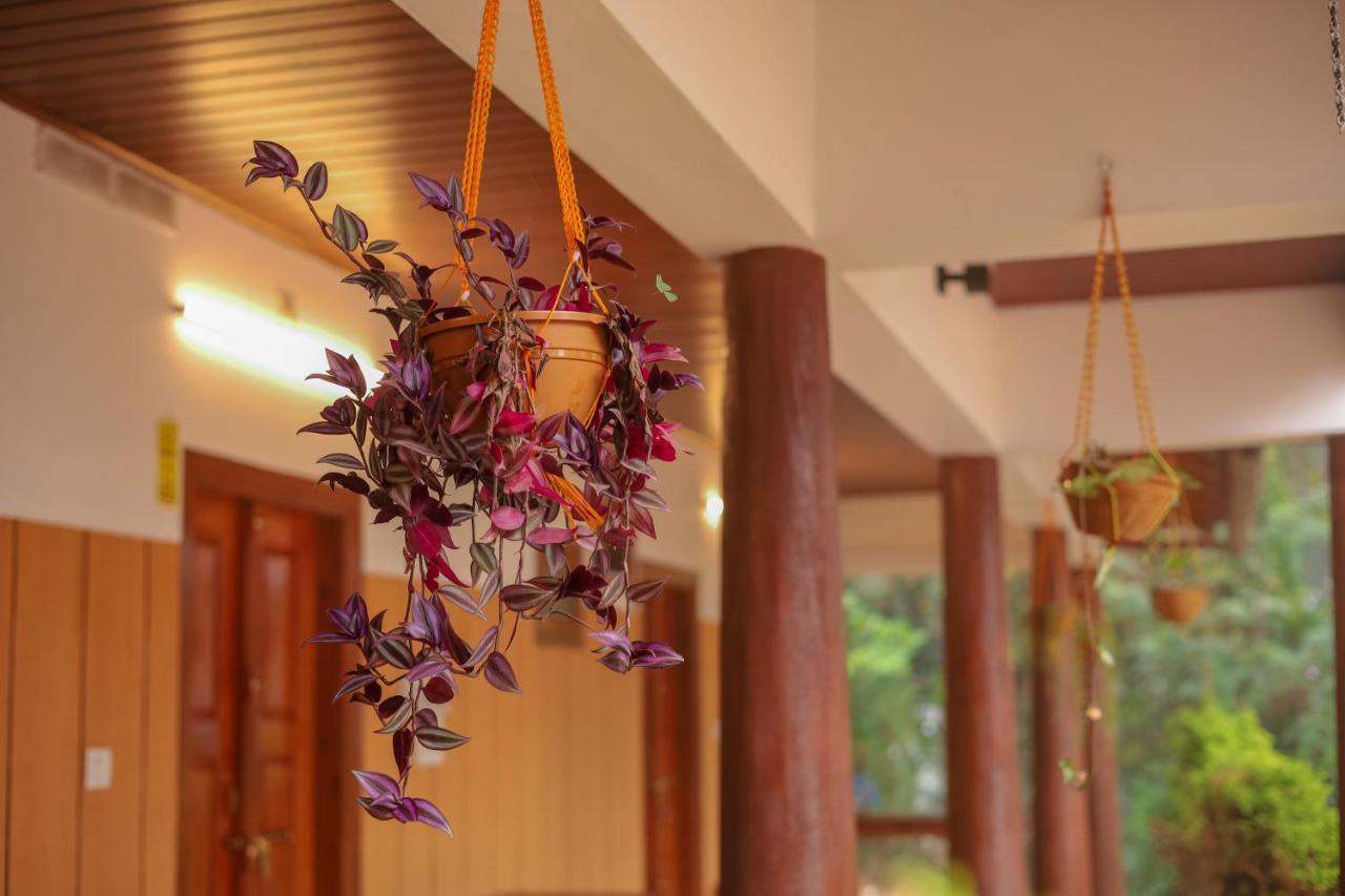 Swastha Plantation Homestay Kaniyāmbetta エクステリア 写真