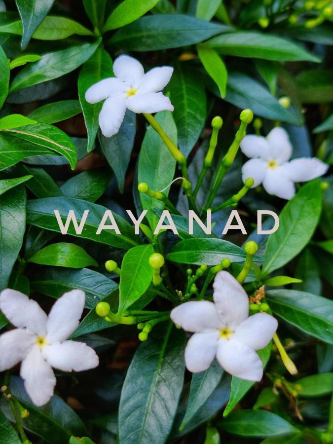 Swastha Plantation Homestay Kaniyāmbetta エクステリア 写真