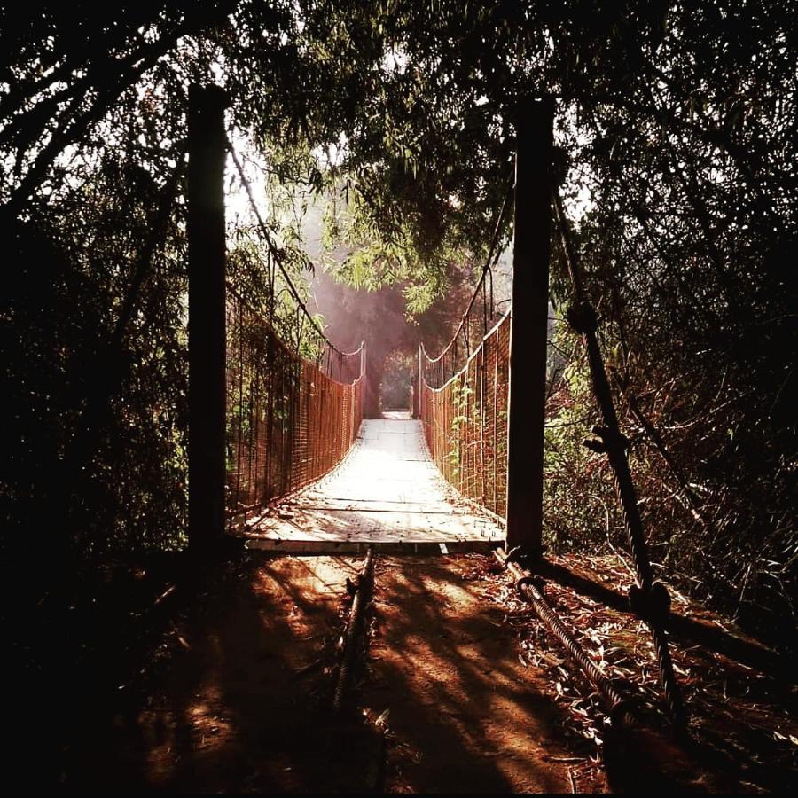 Swastha Plantation Homestay Kaniyāmbetta エクステリア 写真